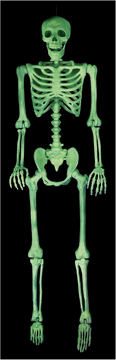 Crazy Bonez Original Pose-N-Stay Halloween Skeleton, 5 FT – Life-Size, Realistic, Fully Poseable Indoor & Outdoor Decoration, Durable Plastic Spooky Prop for Yard, Porch, Haunted House