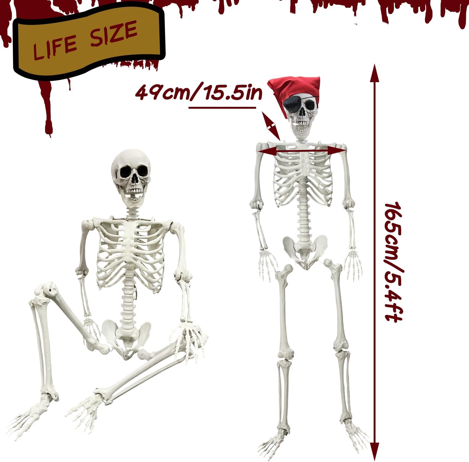 5.4Ft Halloween Skeleton - Life Size Full Body Realistic Human Bones with Posable Joints for Halloween Pose Skeleton Prop Decoration