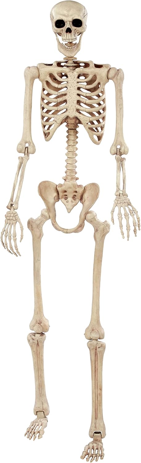 Crazy Bonez Original Pose-N-Stay Halloween Skeleton, 5 FT – Life-Size, Realistic, Fully Poseable Indoor & Outdoor Decoration, Durable Plastic Spooky Prop for Yard, Porch, Haunted House