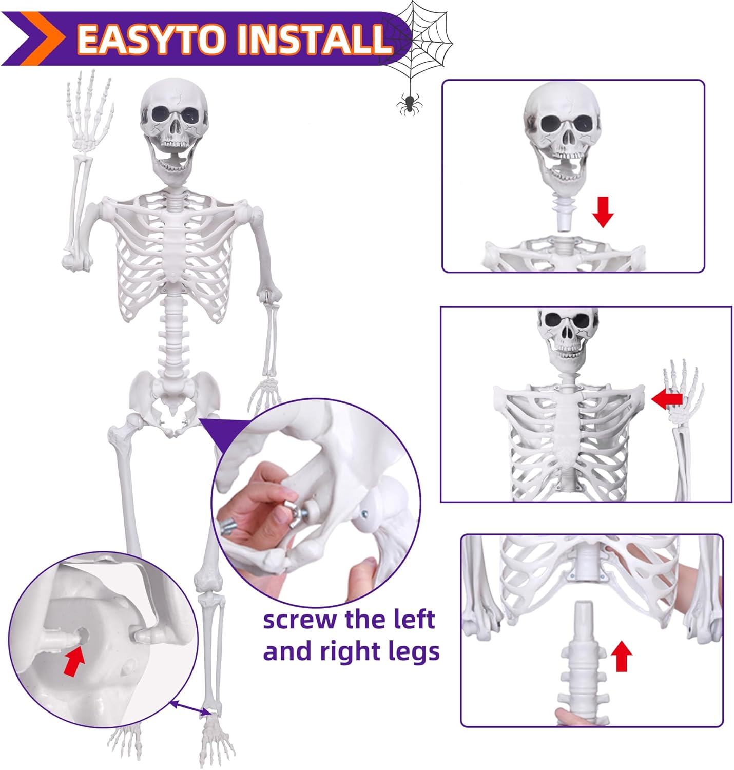 5.4Ft Halloween Skeleton - Life Size Full Body Realistic Human Bones with Posable Joints for Halloween Pose Skeleton Prop Decoration