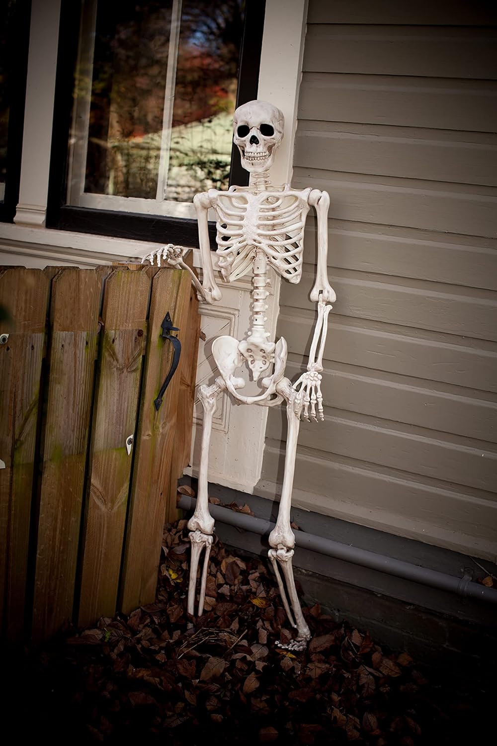 Crazy Bonez Original Pose-N-Stay Halloween Skeleton, 5 FT – Life-Size, Realistic, Fully Poseable Indoor & Outdoor Decoration, Durable Plastic Spooky Prop for Yard, Porch, Haunted House