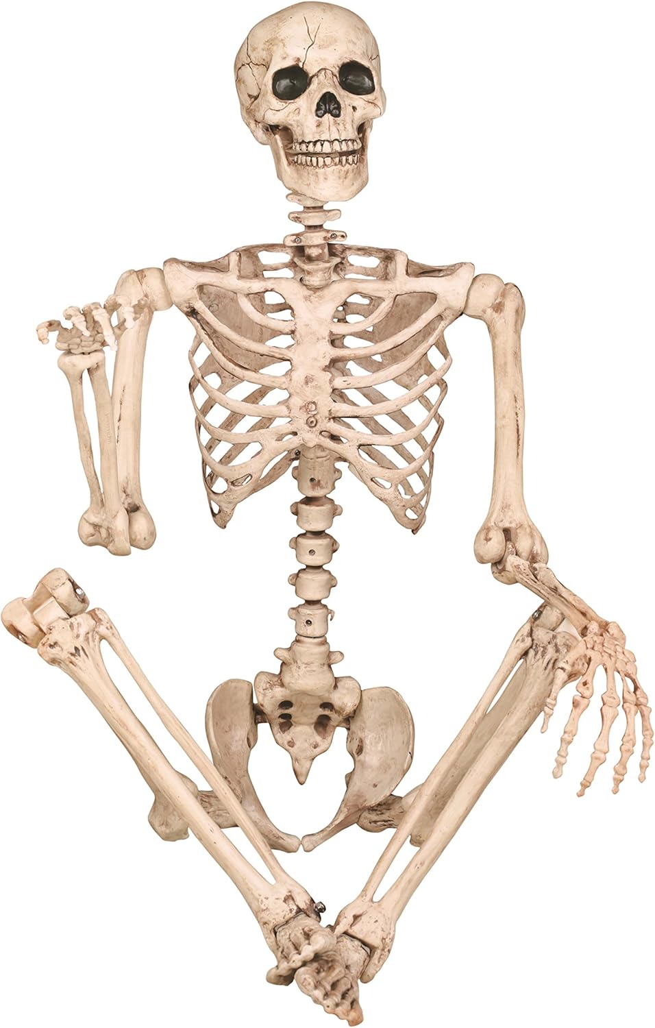 Crazy Bonez Original Pose-N-Stay Halloween Skeleton, 5 FT – Life-Size, Realistic, Fully Poseable Indoor & Outdoor Decoration, Durable Plastic Spooky Prop for Yard, Porch, Haunted House
