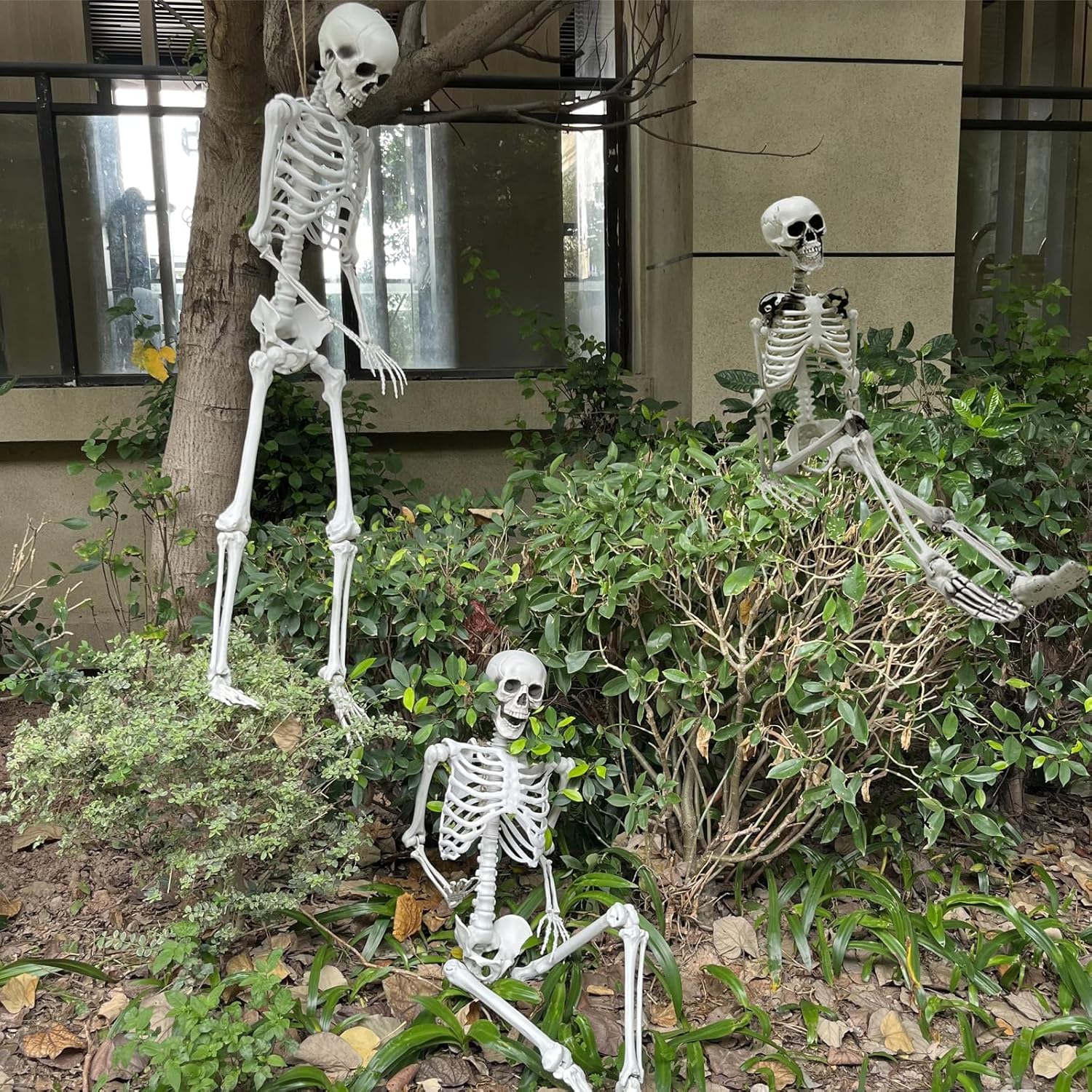 5.4Ft Halloween Skeleton - Life Size Full Body Realistic Human Bones with Posable Joints for Halloween Pose Skeleton Prop Decoration